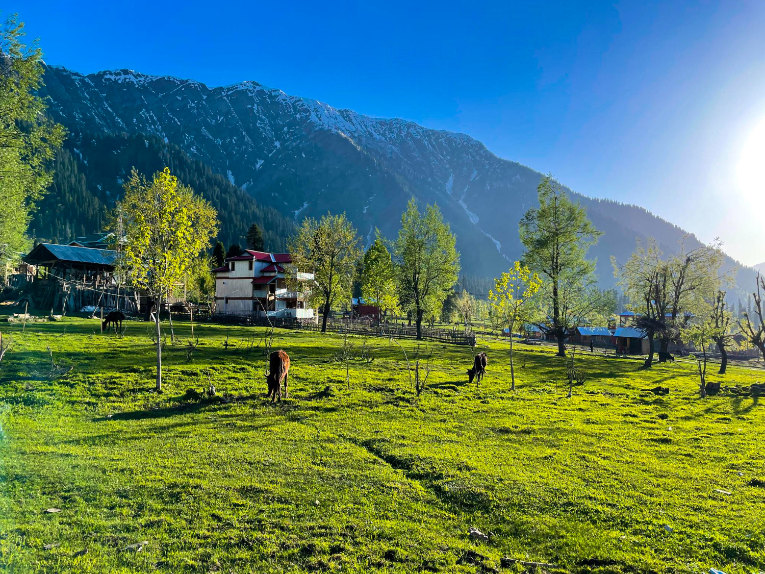 Best hill station in India for Honeymoon